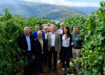Rueda califica al sector vitivinícola como estratégico y confía en una vendimia abundante y de calidad