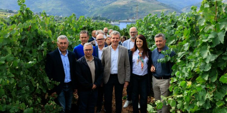Rueda califica al sector vitivinícola como estratégico y confía en una vendimia abundante y de calidad