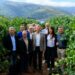 Rueda califica al sector vitivinícola como estratégico y confía en una vendimia abundante y de calidad