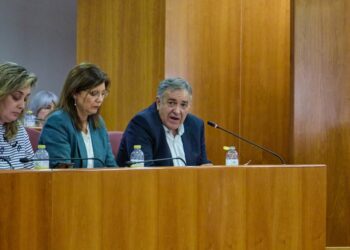 imagen pleno concello de vigo