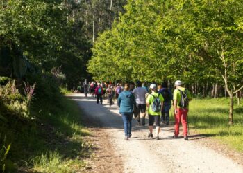 Vigo retoma este outono o programa medioambiental “Camiño a Camiño”