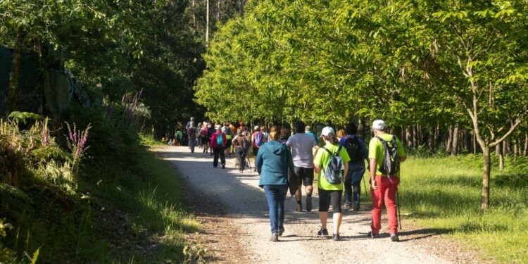 Vigo retoma este outono o programa medioambiental “Camiño a Camiño”