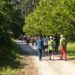 Vigo retoma este outono o programa medioambiental “Camiño a Camiño”