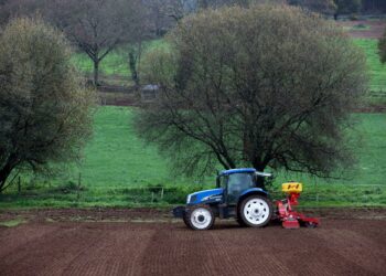 La Xunta anuncia 3,6 millones en ayudas para agricultores y ganaderos gallegos