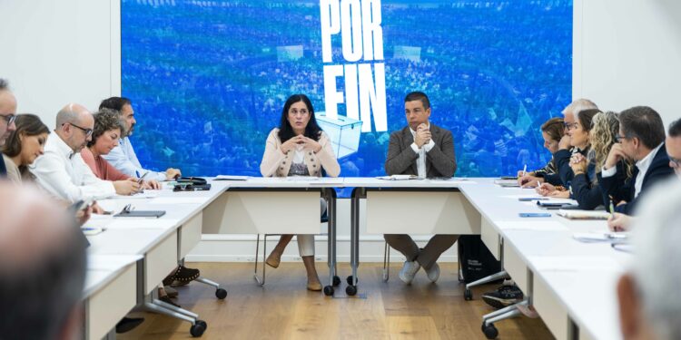 PPdeG_Comité_Campaña_29N