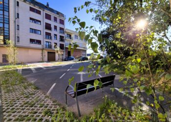 barrio as flores carballo