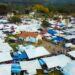 Feira dos Santos de Cerdal 2026: más de 400 puestos en Valença