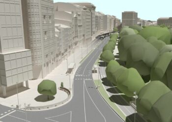 Una aciñeira de ocho metros de altura y 35 años sustituye al metrosidero de los Cantones de A Coruña que no pudo recuperarse.