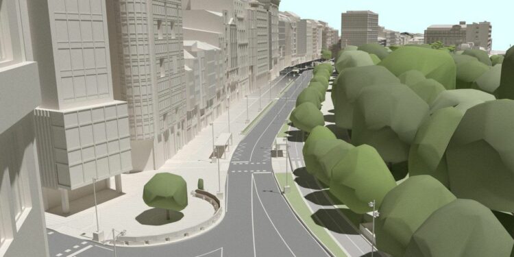 Una aciñeira de ocho metros de altura y 35 años sustituye al metrosidero de los Cantones de A Coruña que no pudo recuperarse.