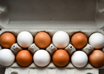 envase de huevos frescos