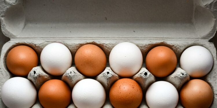 envase de huevos frescos