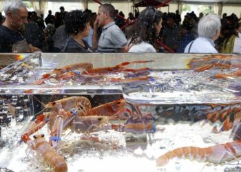 festa marisco o grove