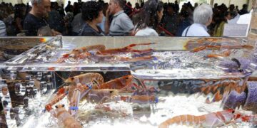 festa marisco o grove