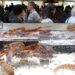 festa marisco o grove