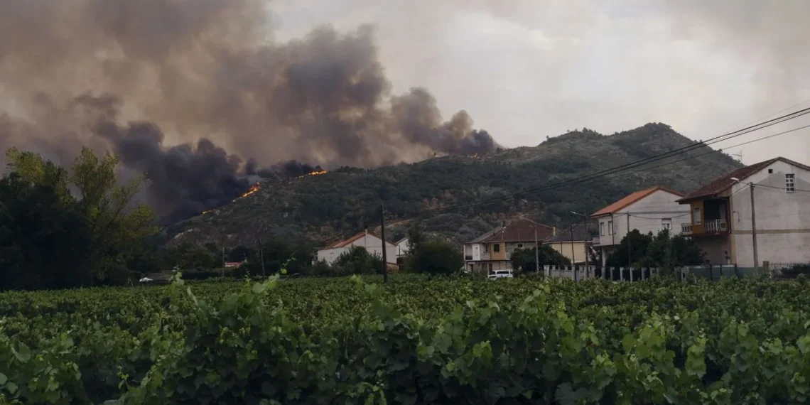 Las ayudas buscan compensar parte de las pérdidas de agricultores y ganaderos cuyas explotaciones sufrieron daños por los incendios.