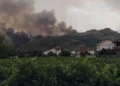 Las ayudas buscan compensar parte de las pérdidas de agricultores y ganaderos cuyas explotaciones sufrieron daños por los incendios.
