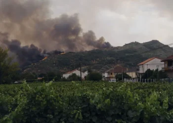 Las ayudas buscan compensar parte de las pérdidas de agricultores y ganaderos cuyas explotaciones sufrieron daños por los incendios.