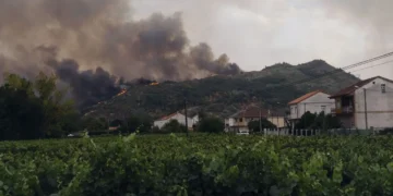Las ayudas buscan compensar parte de las pérdidas de agricultores y ganaderos cuyas explotaciones sufrieron daños por los incendios.