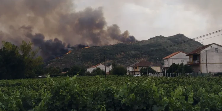 Las ayudas buscan compensar parte de las pérdidas de agricultores y ganaderos cuyas explotaciones sufrieron daños por los incendios.