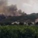Las ayudas buscan compensar parte de las pérdidas de agricultores y ganaderos cuyas explotaciones sufrieron daños por los incendios.